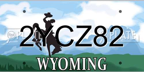 2YCZ82 Wyoming License Plate