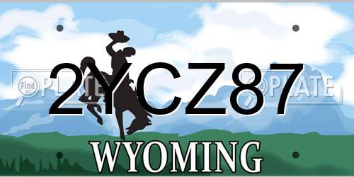 2YCZ87 Wyoming License Plate
