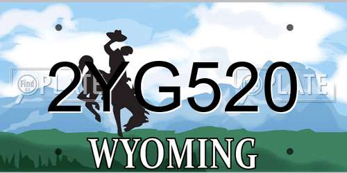2YG520 Wyoming License Plate