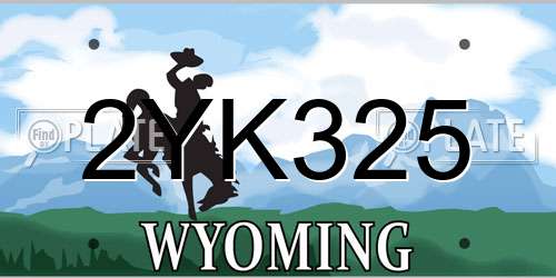 2YK325 Wyoming License Plate