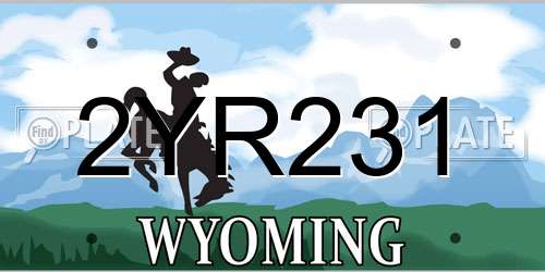 2YR231 Wyoming License Plate