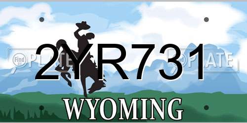 2YR731 Wyoming License Plate