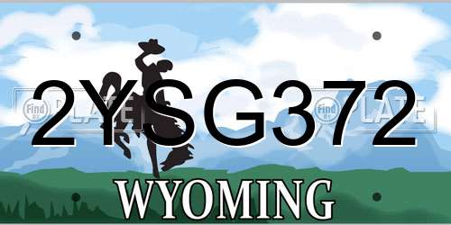 2YSG372 Wyoming License Plate
