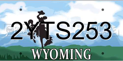 2YTS253 Wyoming License Plate