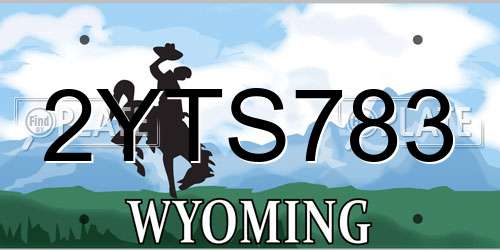 2YTS783 Wyoming License Plate