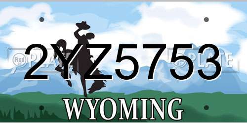 2YZ5753 Wyoming License Plate