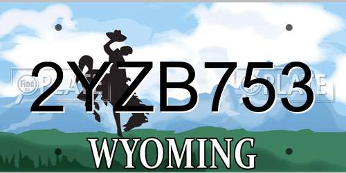 2YZB753 Wyoming License Plate
