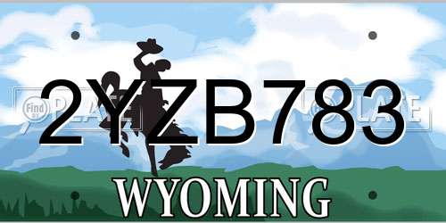 2YZB783 Wyoming License Plate