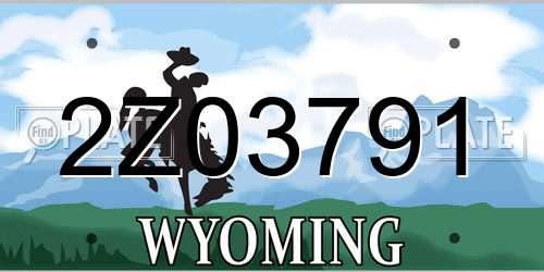 2Z03791 Wyoming License Plate