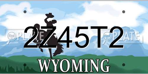 2Z45T2 Wyoming License Plate