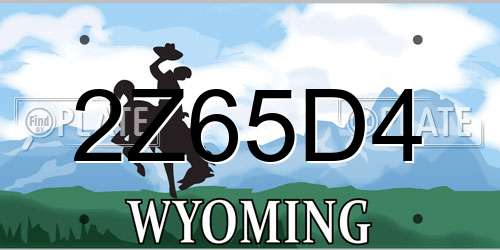 2Z65D4 Wyoming License Plate