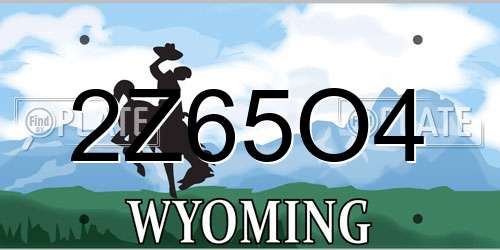 2Z65O4 Wyoming License Plate