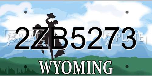 2ZB5273 Wyoming License Plate