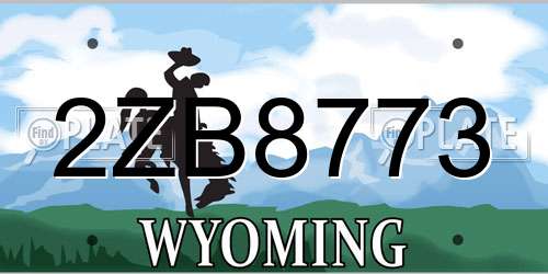 2ZB8773 Wyoming License Plate