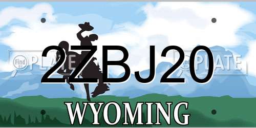 2ZBJ20 Wyoming License Plate