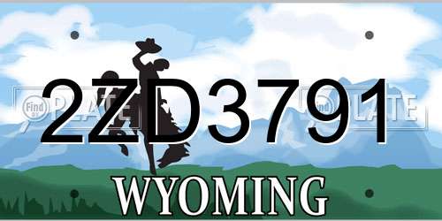 2ZD3791 Wyoming License Plate