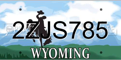 2ZJS785 Wyoming License Plate
