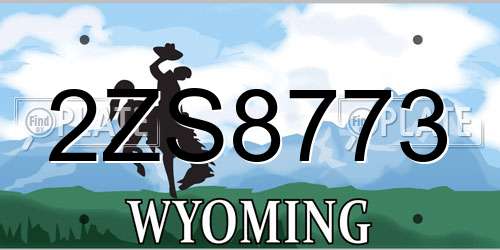 2ZS8773 Wyoming License Plate