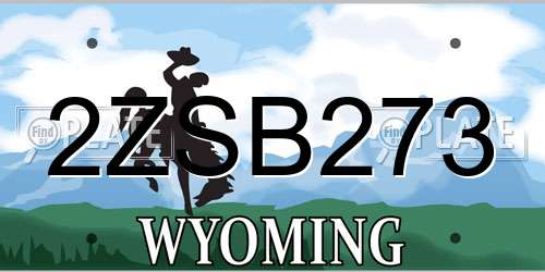 2ZSB273 Wyoming License Plate
