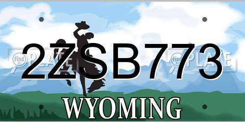 2ZSB773 Wyoming License Plate