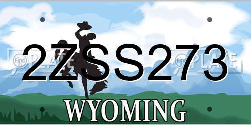 2ZSS273 Wyoming License Plate