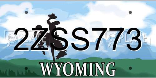2ZSS773 Wyoming License Plate