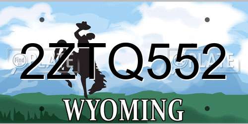 2ZTQ552 Wyoming License Plate
