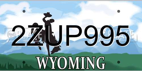 2ZUP995 Wyoming License Plate