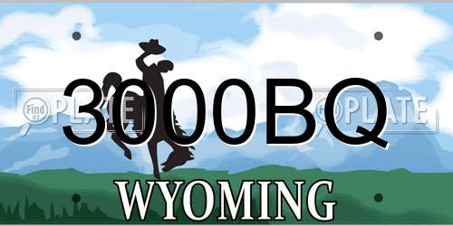 3000BQ Wyoming License Plate