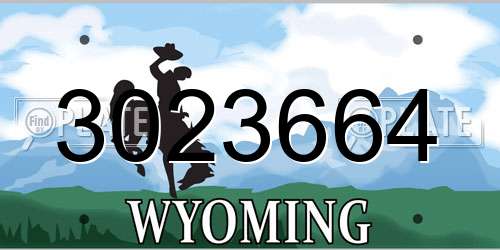 3023664 Wyoming License Plate