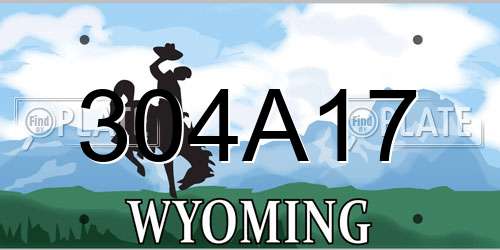 304A17 Wyoming License Plate