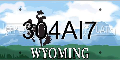 304AI7 Wyoming License Plate