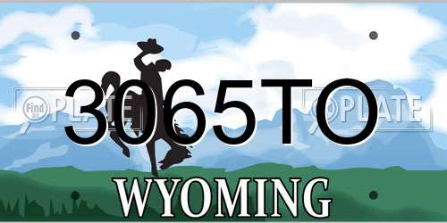 3065TO Wyoming License Plate