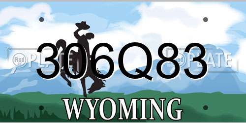 306Q83 Wyoming License Plate