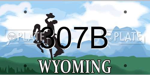 307B Wyoming License Plate