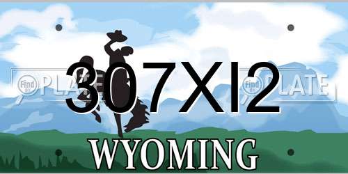 307XI2 Wyoming License Plate