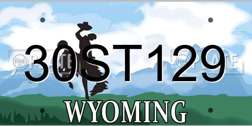 30ST129 Wyoming License Plate