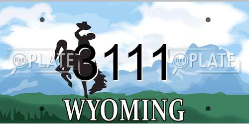 3111 Wyoming License Plate