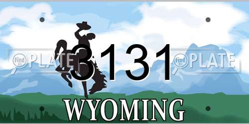 3131 Wyoming License Plate
