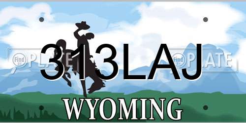 313LAJ Wyoming License Plate