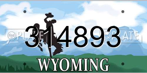 314893 Wyoming License Plate