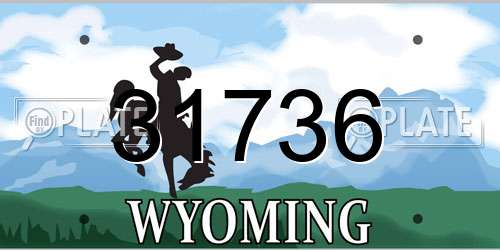 31736 Wyoming License Plate