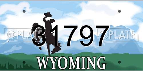 31797 Wyoming License Plate