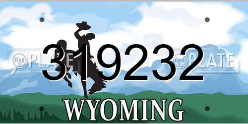319232 Wyoming License Plate