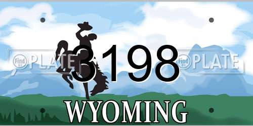 3198 Wyoming License Plate