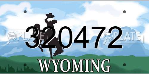 320472 Wyoming License Plate