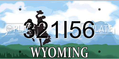321I56 Wyoming License Plate