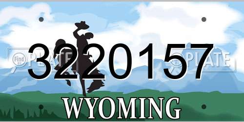 3220157 Wyoming License Plate
