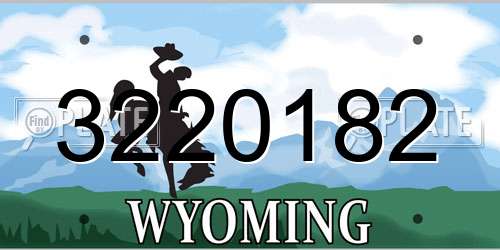 3220182 Wyoming License Plate