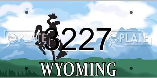 3227 Wyoming License Plate